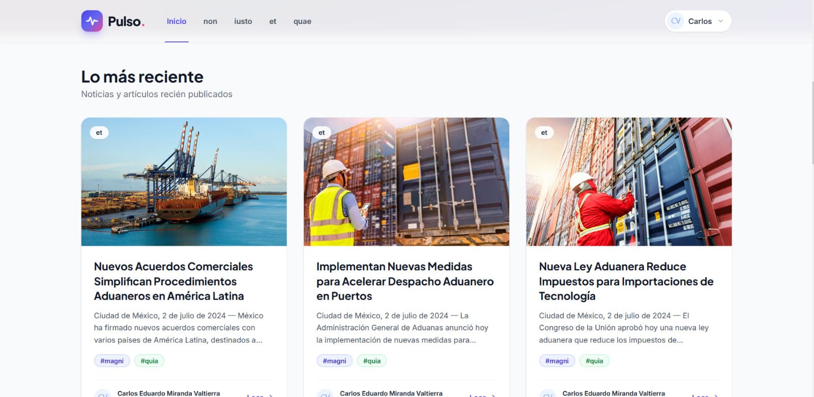 Revista/Blog Aduanal — imagen 5 de 5